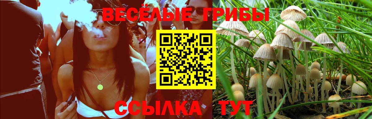 Псилоцибиновые грибы MAGIC MUSHROOMS  Псилоцибиновые грибы мухоморы  Вход с VPN  Лабытнанги 
